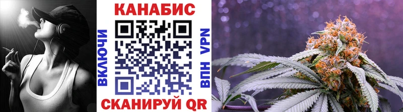 Конопля OG Kush  Короча 